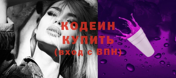 гидра Ельня