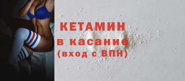 гидра Ельня