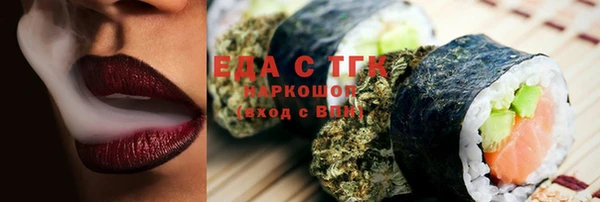 гидра Ельня