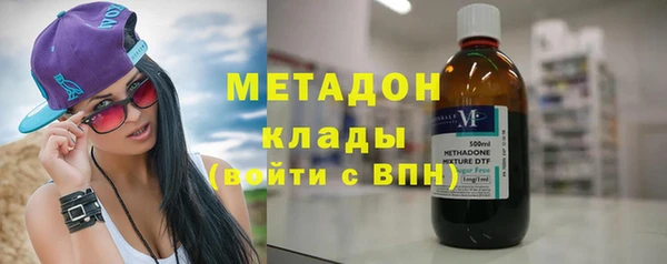 гидра Ельня
