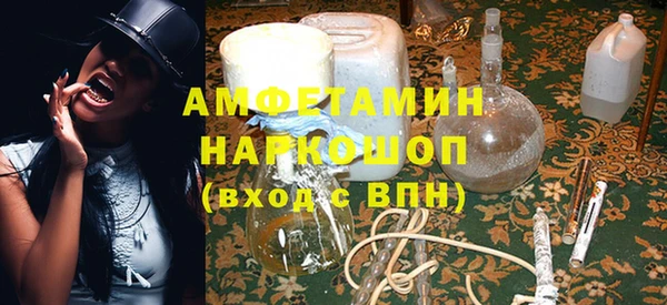 гидра Ельня