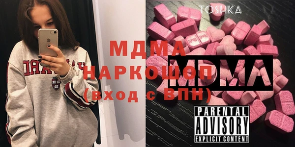 гидра Ельня