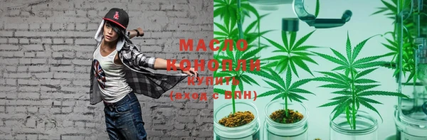 гидра Ельня