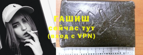 гидра Ельня