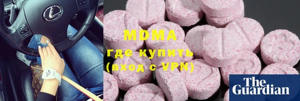 гидра Ельня