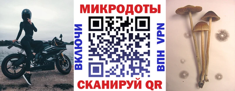 Псилоцибиновые грибы мицелий  Карабаново 