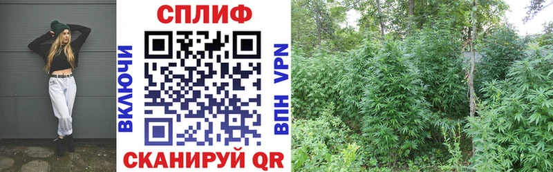 цены   Карабаново  ОМГ ОМГ зеркало  МАРИХУАНА индика 